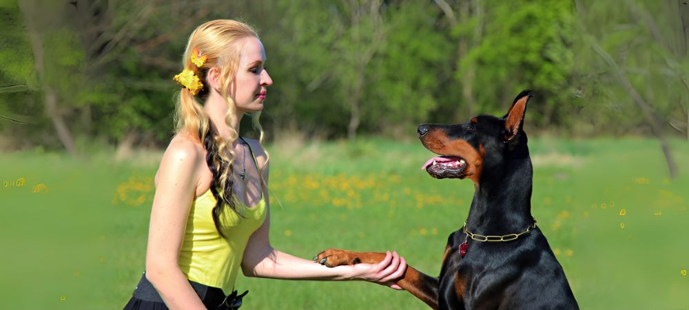 Teach Basic Commands