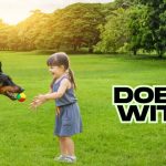Are Dobermans Good with Kids What Every Family Should Know